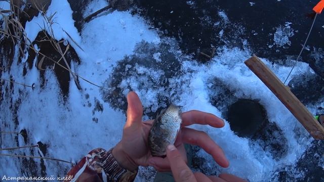 Поставил САМОДЕЛЬНЫЕ ЖЕРЛИЦЫ! ВЕЧЕРНИЙ КЛЕВ ОКУНЯ на САМОДЕЛЬНУЮ БЛЕСНУ! ЗИМНЯЯ РЫБАЛКА Астрахань!