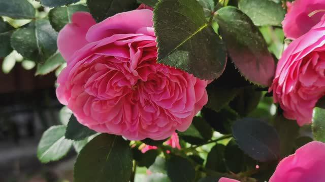 Просто прогулка 010624 часть_1 смотреть онлайн