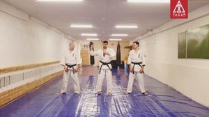 Кихон на месте + кихон ката на 9 кю