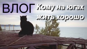 ВЛОГ Пасмурный день не повод оставаться дома