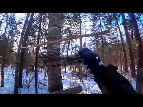 очередной зимний заезд на зимовье, часть вторая