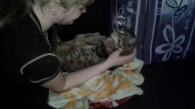 Жизнь Иветты смотреть онлайн