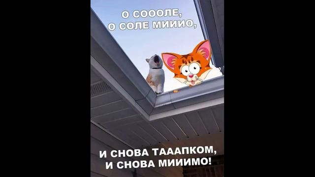 Лютые приколы. Я РАЗГОВАРИВАЮ С ГРИБАМИ!!! Самое смешное видео! Попробуй не засмеяться! Domi Show! смотреть онлайн