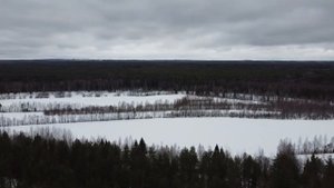 Алёховщина. Россия с высоты птичьего полёта.