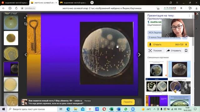 Физиология  Занятие 5  Часть 2