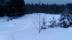 Снегоход стелс Викинг 800 в горку