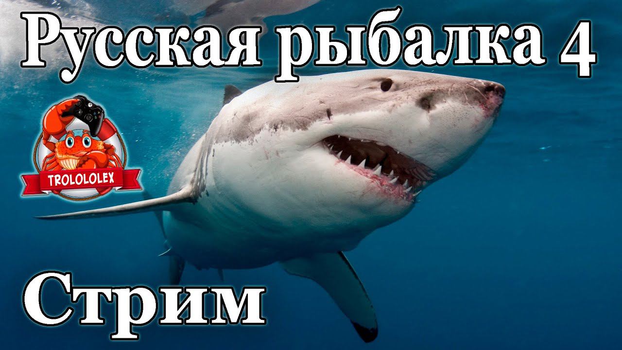 Русская рыбалка 4. Стрим В погоне за кАкулой смотреть онлайн