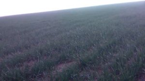 Снято для канала Агро Земледелие!