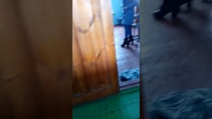 Ученица выясняет личные отношения с физруком