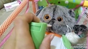 Басик заболел