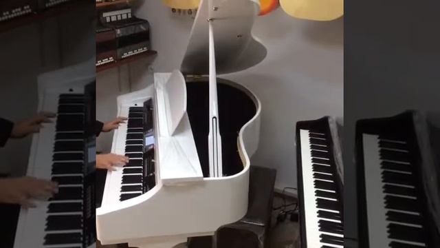 Medeli Grand - 500 royal смотреть онлайн