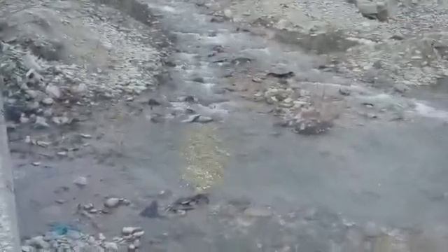 Как выращивают форель братья в Дагестане.