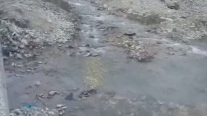 Как выращивают форель братья в Дагестане.