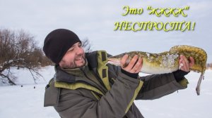 Это "жжжж" НЕСПРОСТА! или налим в феврале...