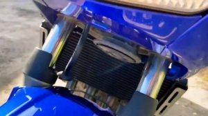 Honda CB 600 S Hornet из Европы ?