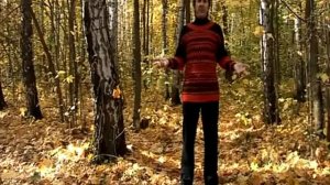 6 Упражнение Стрельниковой БОЛЬШОЙ МАЯТНИК