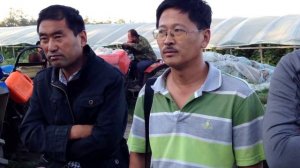 Казачья сотня Реструкт Екатеринодар. Оккупай-Выселяй.