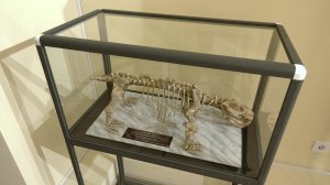 Рубрика «Культурная афиша»