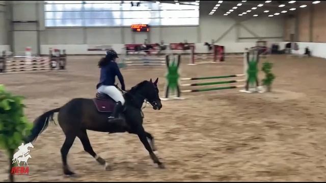 Новости КСК Нева. Соревнования в КСК Дерби 6-7.02.2021 смотреть онлайн