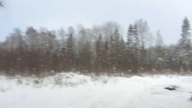 Вылазка в лес зимой, а потом банька ! смотреть онлайн