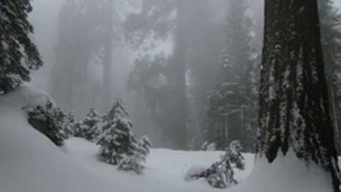 Расслабляющая СИЛЬНАЯ МЕТЕЛЬ и ПУРГА ШУМ ВЕТРА, ЗВУКИ ВЬЮГИ 10 часов для отдыха и сна