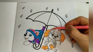 ЩЕНЯЧИЙ ПАТРУЛЬ. раскраска. Скай и Эверест.