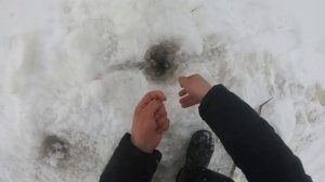 Рыбалка в Зимний период на флажки и рогатки