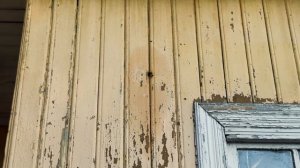 Горки ленинские 24.08.24