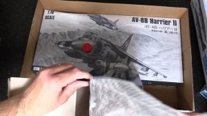 Огромная и очень душевная  модель небольшого самолетика  Harrier AV-8DB  в 18 масштабе "Hobby Boss"