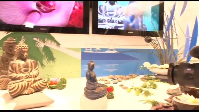 SONY NEX VG10E aus VideoNEWS12 смотреть онлайн