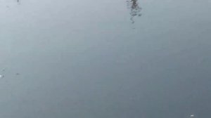 Рыбалка в Станице Анастасиевская часть 1