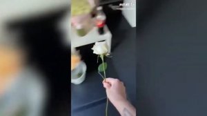 ДАНЯ МИЛОХИН - ТУПАЯ ВЫСКОЧКА (перезалив с канала marazm)