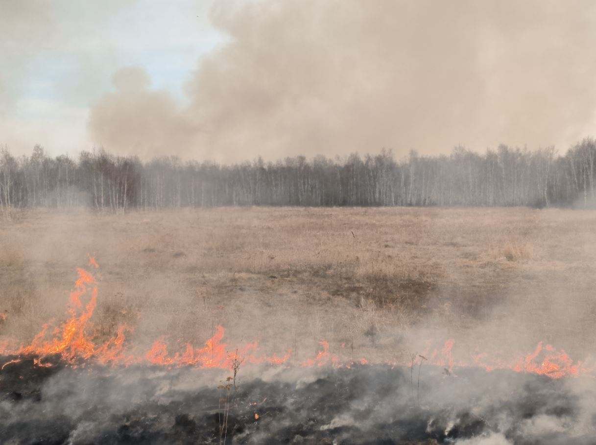 Пожар в поле. Пожар в лесу.