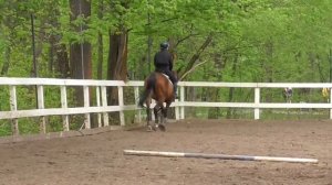 Подготовка к соревнованиям. Рысевая езда