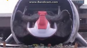 Самая крупная акула в мире