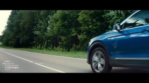 Volkswagen Tiguan  Системы контроля дистанции и парковочный автопилот
