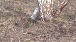 СУББОТНИК С УДОВОЛЬСТВИЕМ !