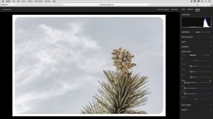 Adding Special Effects in Lightroom Web