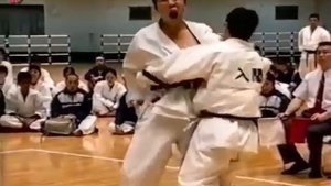 каратэ в силах самообороны Японии