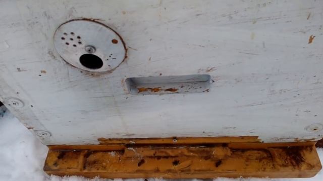 Гибель маток во время зимовки и как выйти из ситуации. смотреть онлайн