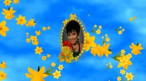 Стиль для Proshow Producer