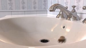 Lucas the Spider - Boop! - Short