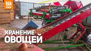 Готовим овощи к хранению. Обзор складской техники
