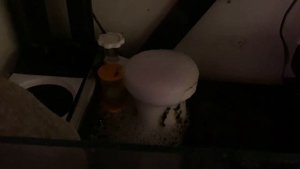 Решил проблему с цианобактериями за пару дней | Морской аквариум