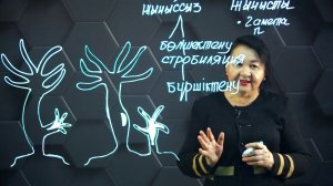 Тірі ағзалардың көбею түрлері. 8 сынып.