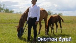 Саид Билалов Оноттон бугай