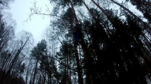 охота с тристенда