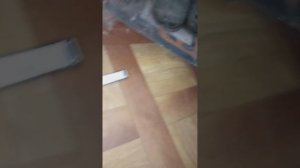 Проблема с дверью TOREX SNEGIR PRO