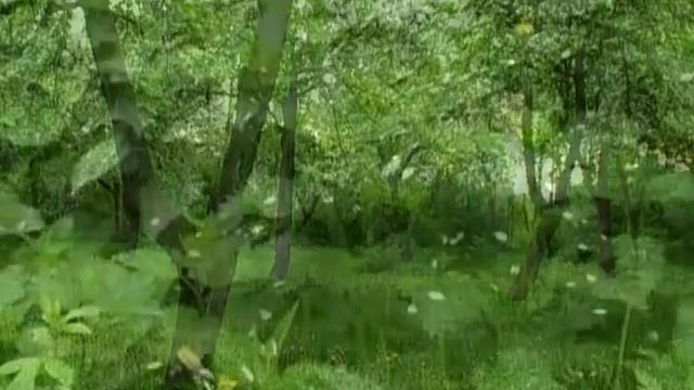 Святитель Игнатий (Брянчанинов)