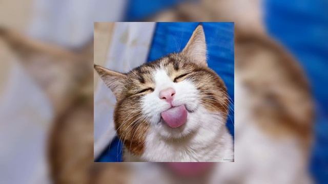 Натали-ветер с моря дул sped up